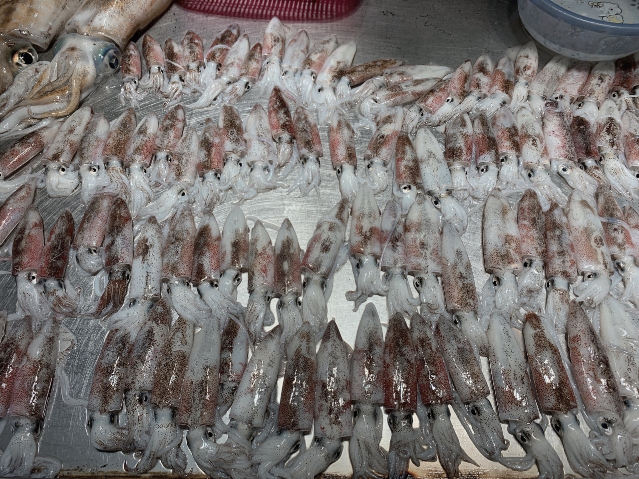 去北海在哪里买海鲜比较划算,北海的海鲜便宜还是防城港的便宜