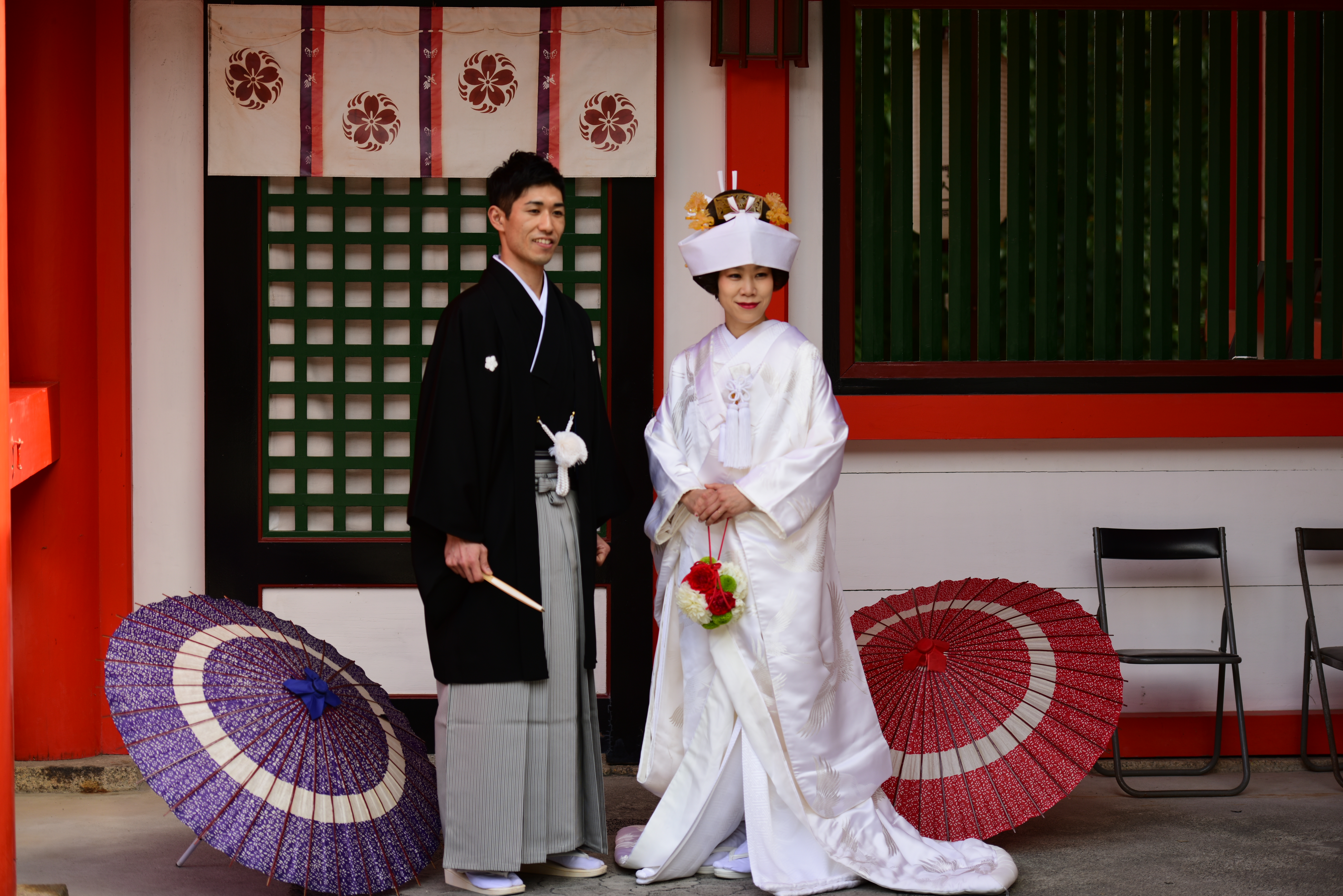 2019日本赏樱最新攻略|大津小众路线私家推荐