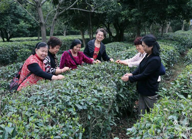 老协协会,老协有哪些活动