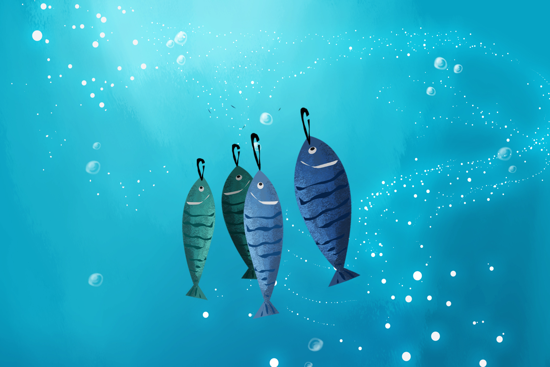 黑坑的鱼不开口怎么办,黑坑鱼不开口是什么原因