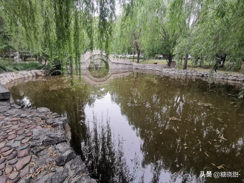 访问藏身医院的“解放区最高学府”，裂变出多所985双一流名校