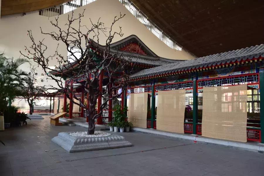 北京公园年票包括哪些景点免费,2022年北京公园游览年票明起发售