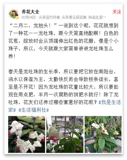 如何花200获得1w粉丝,养花种草怎么涨粉