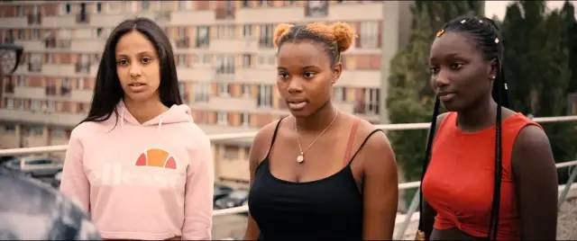 法国种族问题,法国种族问题的现状