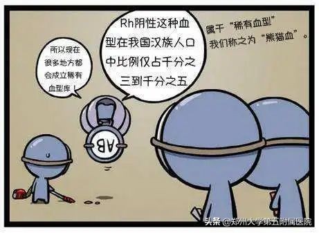 通用熊猫血问世，熊猫血人群输血不慌了