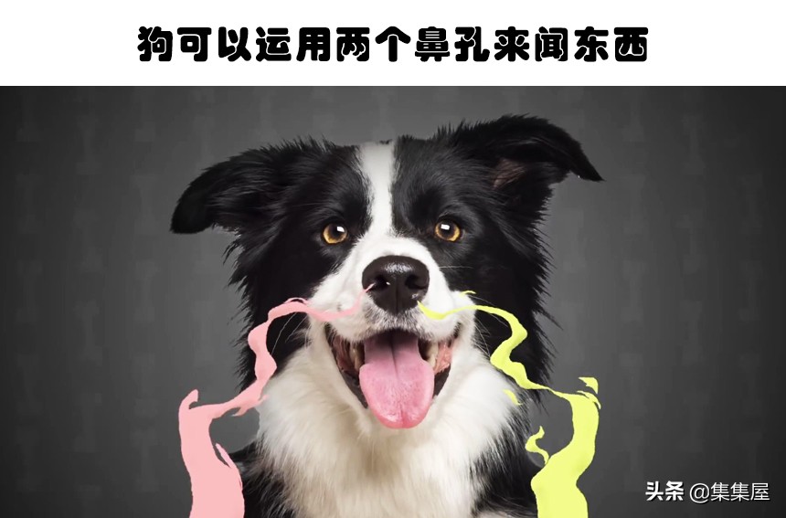 有趣的网络小知识,网络世界确实很有趣