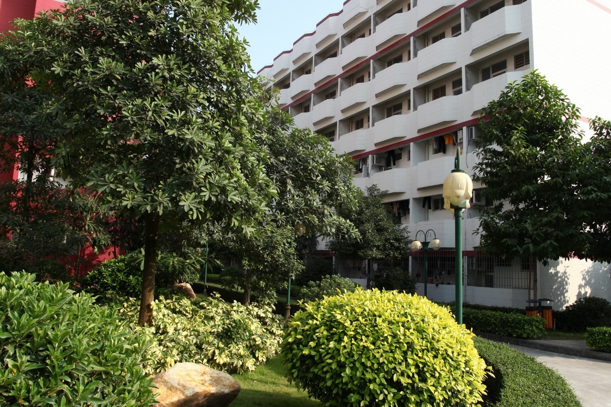 高职高考广东舞蹈戏剧职业学院,广东舞蹈戏剧职业学院有哪些要求