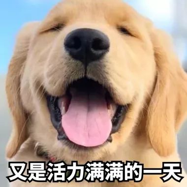 丁浩教学英语口语,丁浩英文名