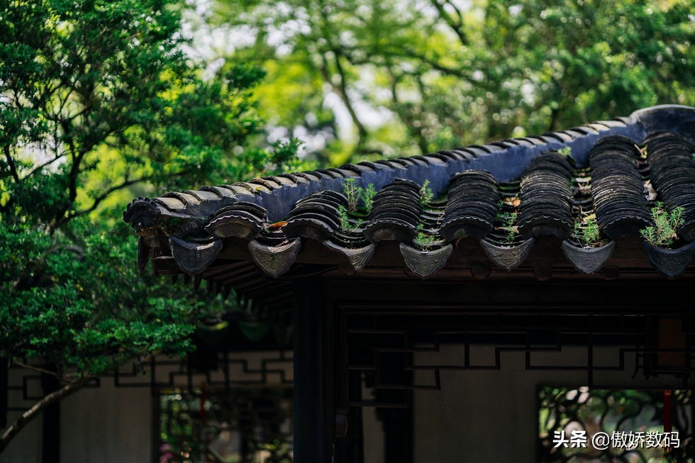 拙政园最让人欣赏的地方,拙政园十大特色