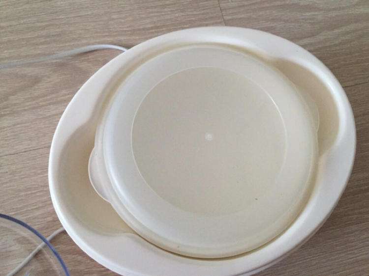 家用酸奶机做出来的酸奶什么样子,家庭做酸奶要用酸奶机吗