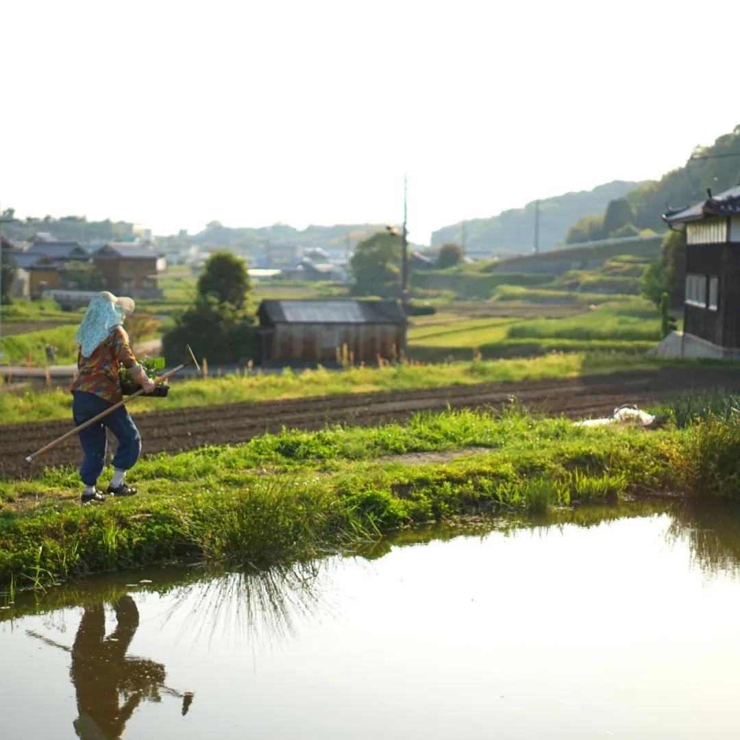 日本有过革命史吗,日本有过什么革命