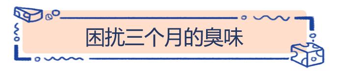 给秋天带来韵味的银杏树，在荷兰竟然人嫌狗不待见