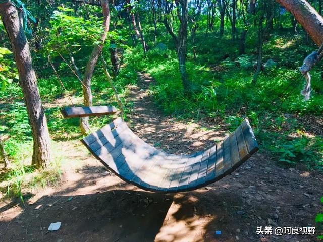 庄河黑岛名人,庄河黑岛沈屯