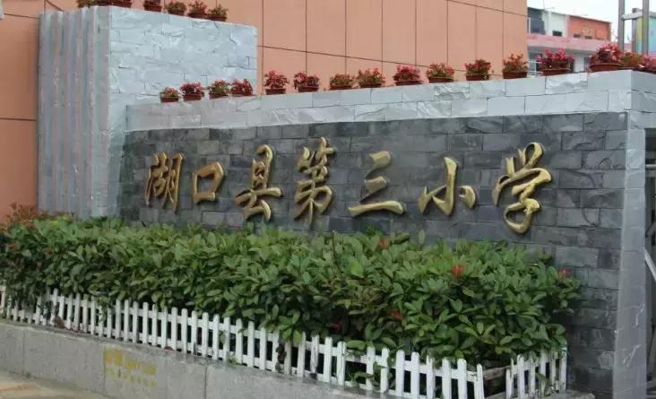 湖口2024年学校划分,湖口县小学划分