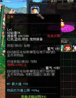 地下城与勇士装备增益强化,幻兽帕鲁哪些道具可以增加负重