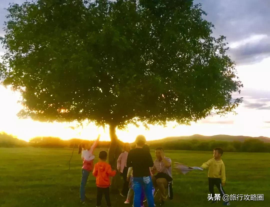 呼伦贝尔亲子游十天怎样玩,呼伦贝尔大草原亲子游