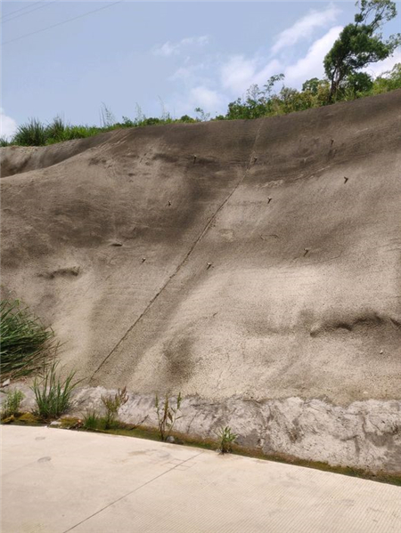 《一起来捉妖》摊位上架“非洲”小狐狸,售价800钻,没买亏了!