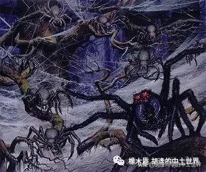 中土世界蜘蛛怪的起源,中土世界蜘蛛被奴役