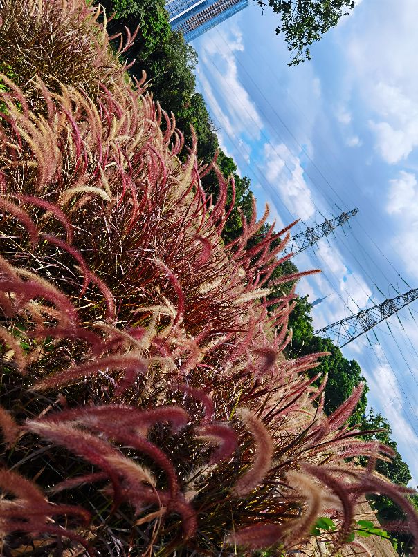 广州好玩的亲子农场,亲子农场广州