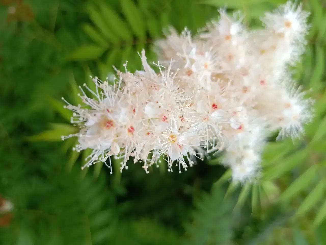 工作很压抑心累怎么样排解,工作繁忙心理焦虑怎么排解