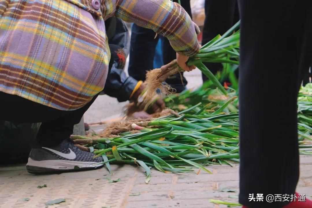 在西安，你一定要逛一次万寿路的早市