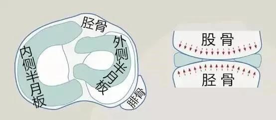 打羽毛球膝盖疼痛如何快速恢复,打羽毛球膝盖内侧疼的恢复方法