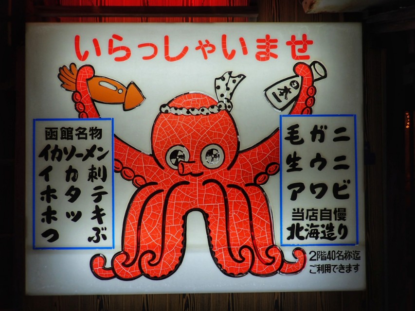 冬天到日本北海道攻略,广州去日本北海道旅游攻略