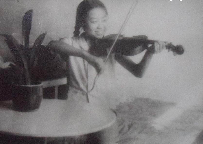 东北君子兰炒作事件,八十年代炒作君子兰