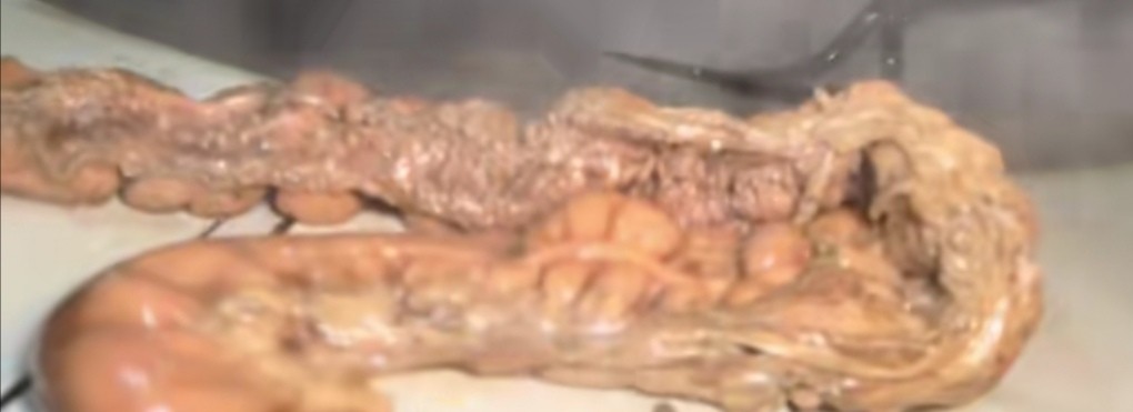 农村有名的驴肉馆,驴肉一斤100元