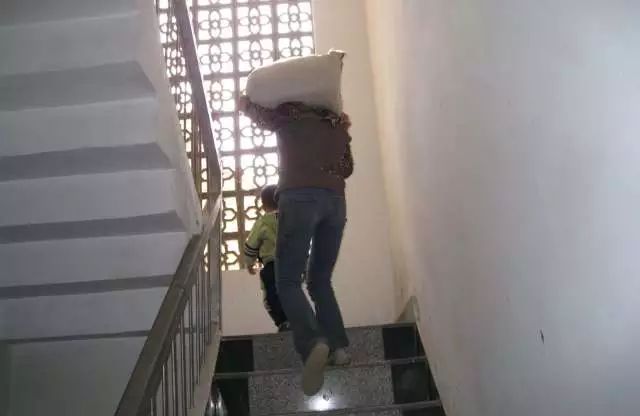 1马力到底有多大？和可以跑的“马”有关系吗？