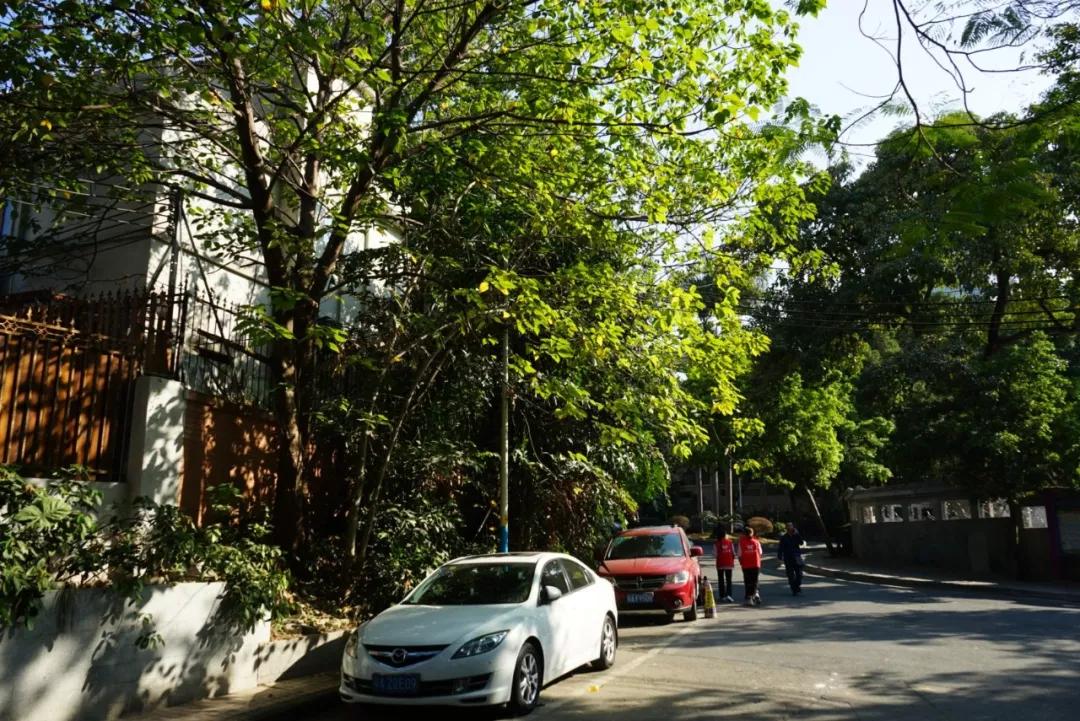 华侨新村，羊城闹市中的世外桃源