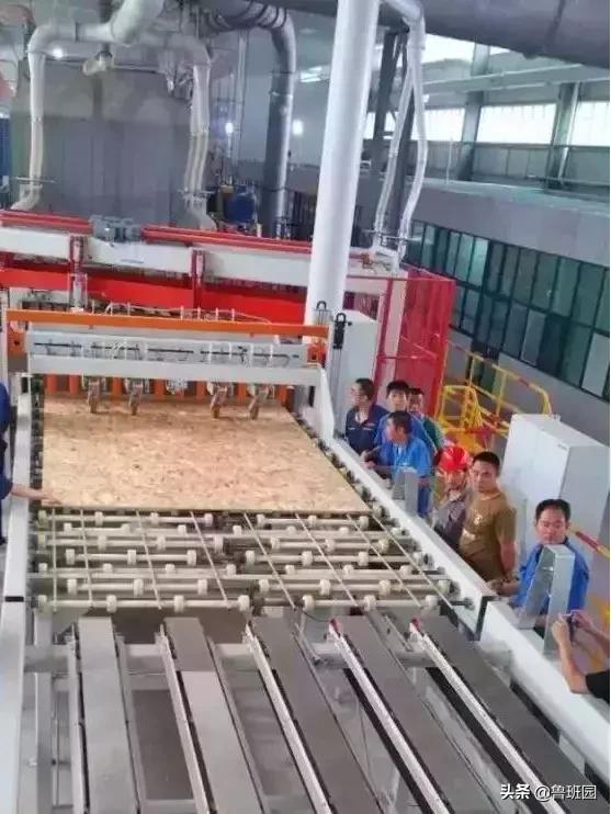 赢在起跑线上的进口刨花板——不得不服气的五大优势！