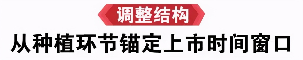 荔枝丰收季最新视频,荔枝丰收季广东