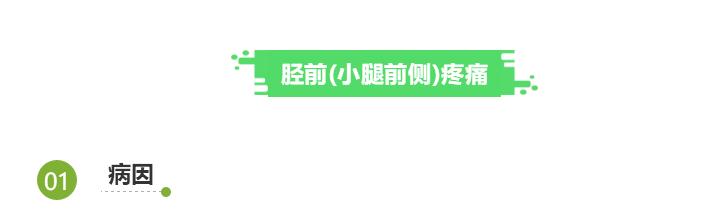 跑步大腿疼和小腿疼有什么区别,跑步之后脚跟疼怎么回事