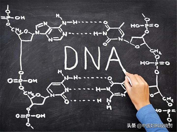 忽然得了多囊卵巢综合症能治好吗,青年人得了多囊卵巢综合征怎么办