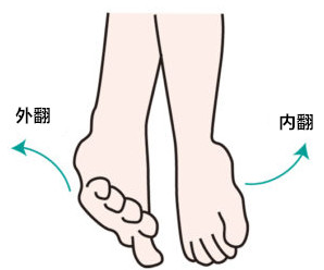 游泳打腿锻炼哪里的肌肉,游泳打腿的标准动作