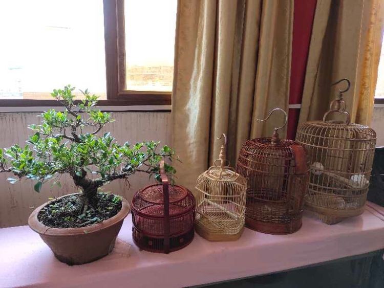 竹编技艺传承与现状,47年竹编技艺