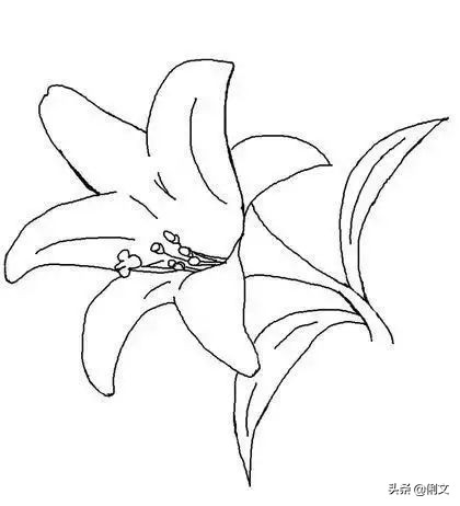 100个简笔画小动物超简单一年级,简笔画小动物100种可爱表情包