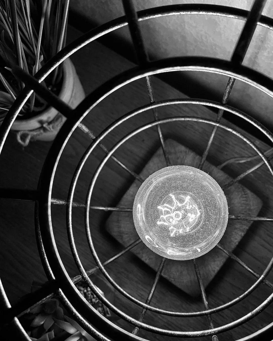 lisa和rosie秀恩爱,lisa与rosa在直播间接吻