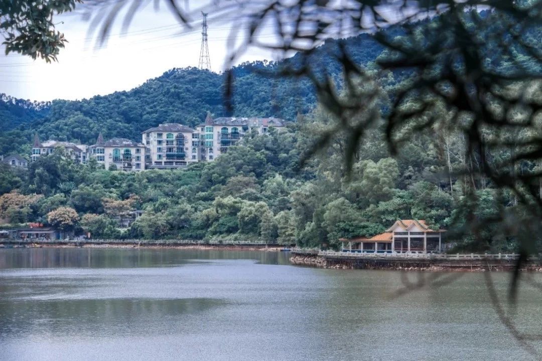 深圳最适合亲子游的好去处,深圳周末家庭游玩好去处