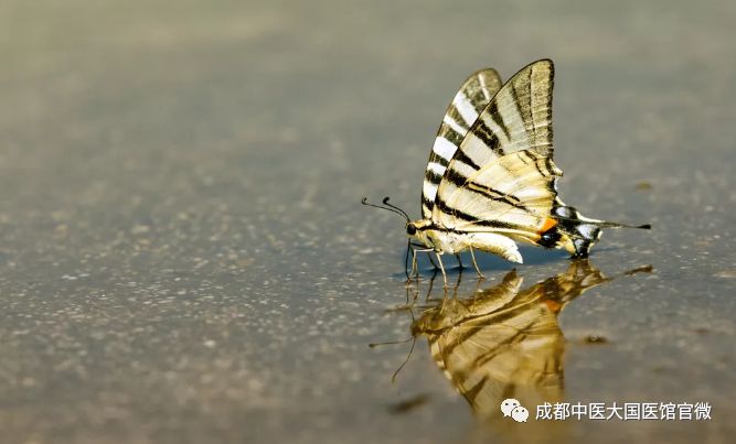 为什么妇科炎症越治越严重了呢,为什么妇科老是那么多炎症