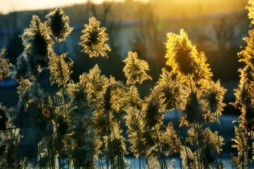 孩子患抽动症十年治疗经验漫谈,孩子有抽动症家长要崩溃了