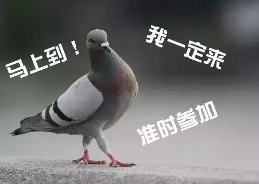 趣读｜成都人听过最扯的十大谎言，看看你被哪句豁到过！