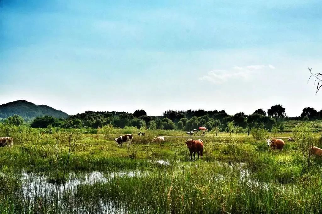 去北京不可错过的地方,不去热门景点游北京