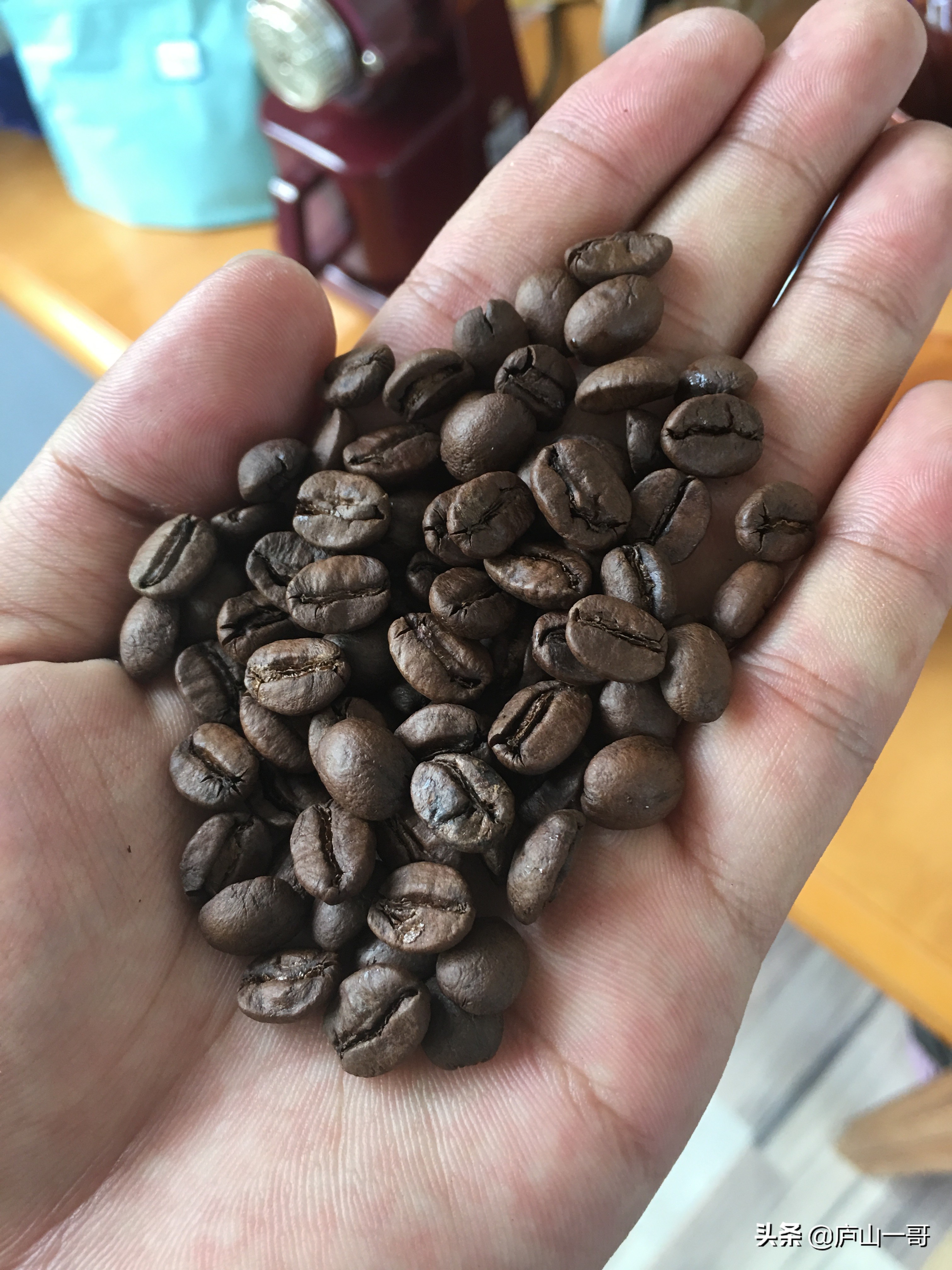 云南保山小粒咖啡,云南小粒咖啡品牌