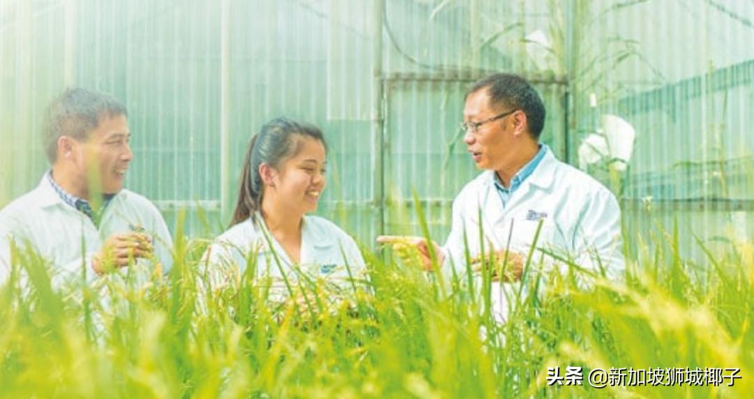 “神秘公司”淡马锡年度报告来啦！投资了辉瑞、元气森林和Shopee