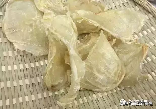 涨知识系列详解,涨知识简短