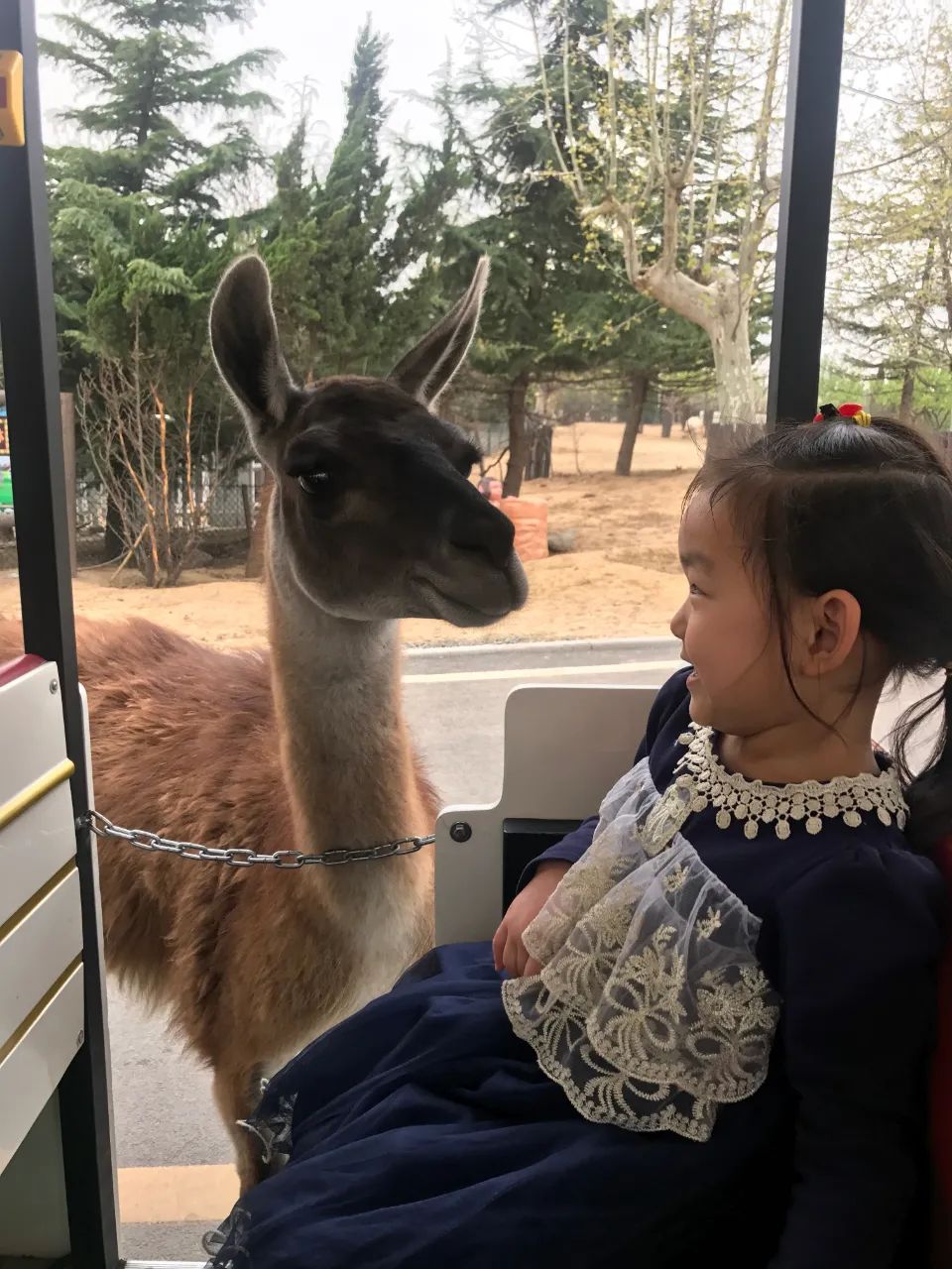 济南遛娃室内去哪里玩,济南遛娃好玩的地方