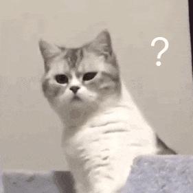 厦门有哪几家健身房倒闭的,厦门健身房倒闭