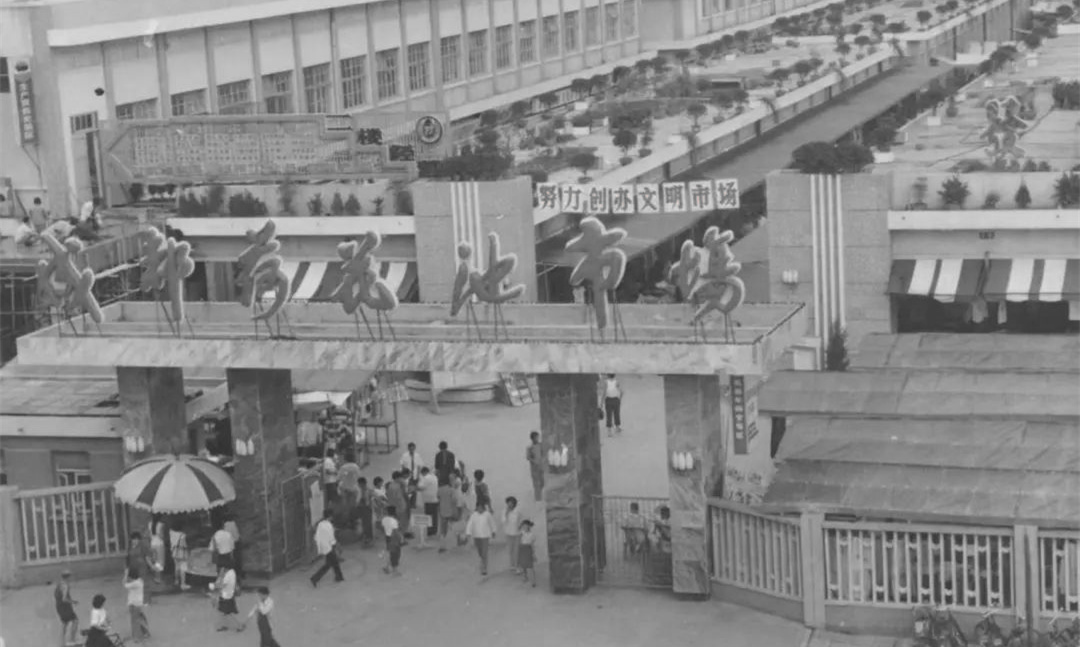 记得曾经的成都荷花池吗？我曾在那电瓶车乱穿的路上发生交通事故